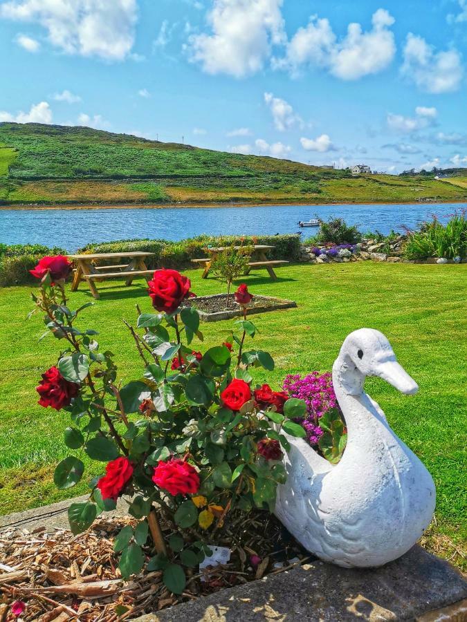 Ocean Villa Country Home Clifden Eksteriør billede