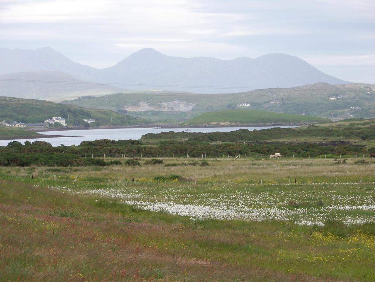 Ocean Villa Country Home Clifden Eksteriør billede